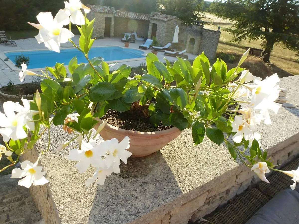 Le Mas De Caroline Gargas  Gargas (Vaucluse)